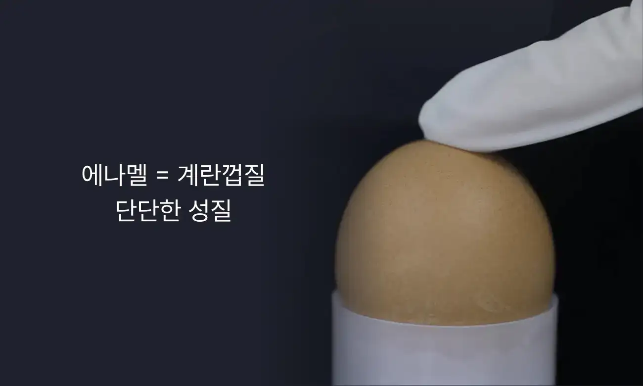 자연치아로 되돌리는 치아복구 솔루션 | 애나멜 계란껍질 단단한 성질